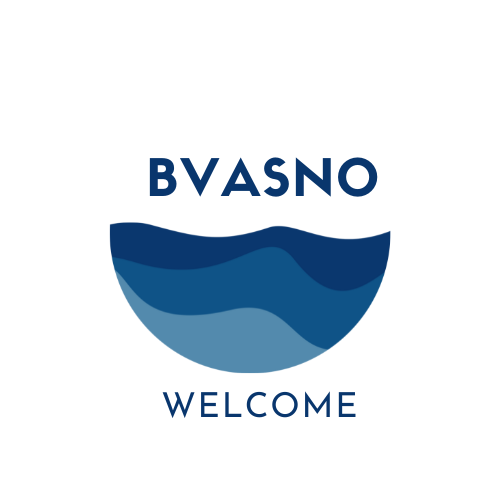 bvasno.shop